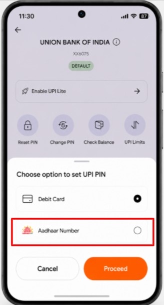 Select Aadhar option